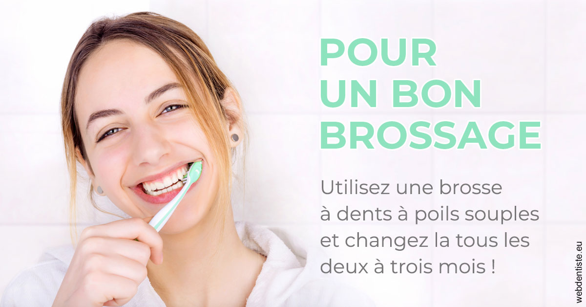 https://dr-buessinger-luc.chirurgiens-dentistes.fr/Pour un bon brossage 2