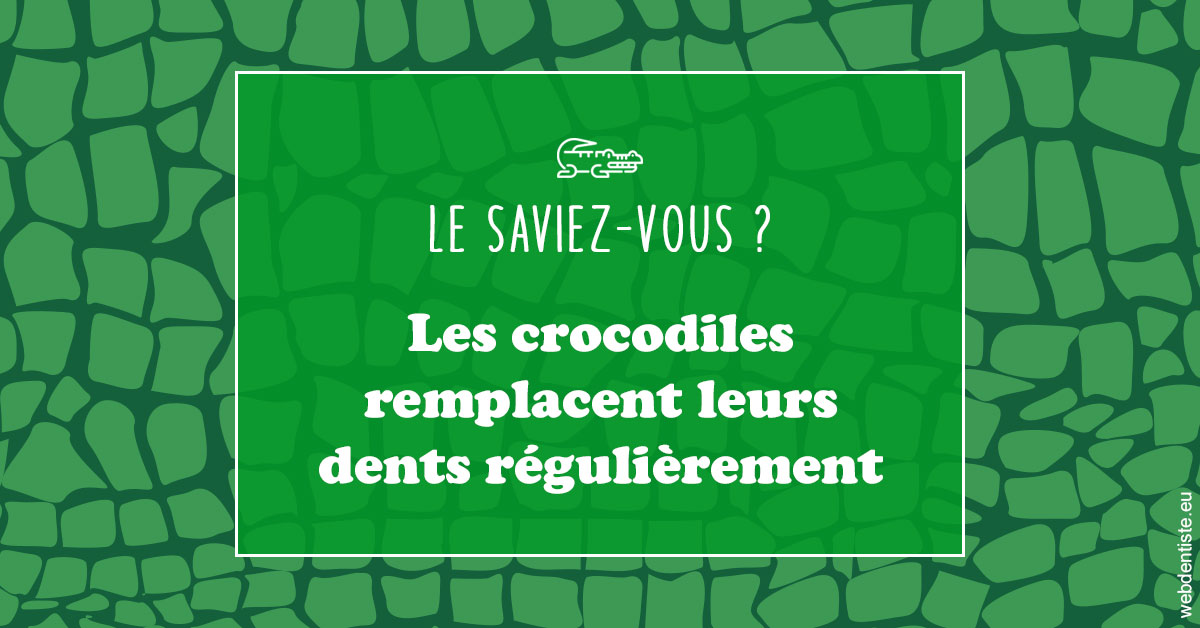 https://dr-buessinger-luc.chirurgiens-dentistes.fr/Crocodiles 1